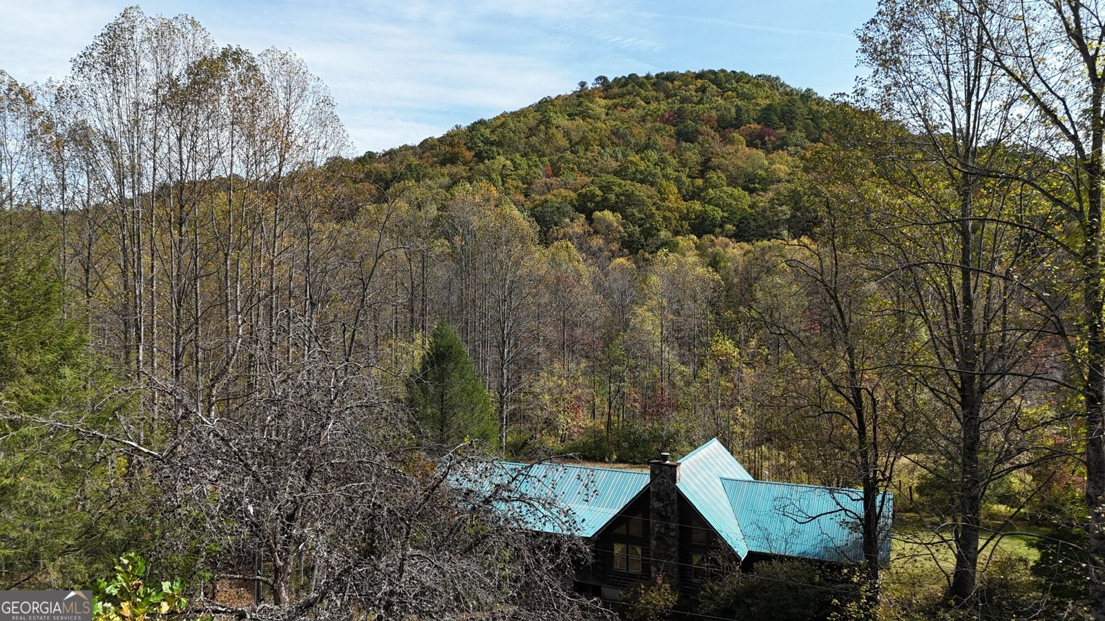 3590 Goshen Creek Road Claarkesville - 16