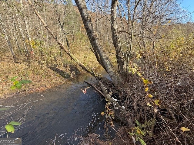 3590 Goshen Creek Road Claarkesville - 20