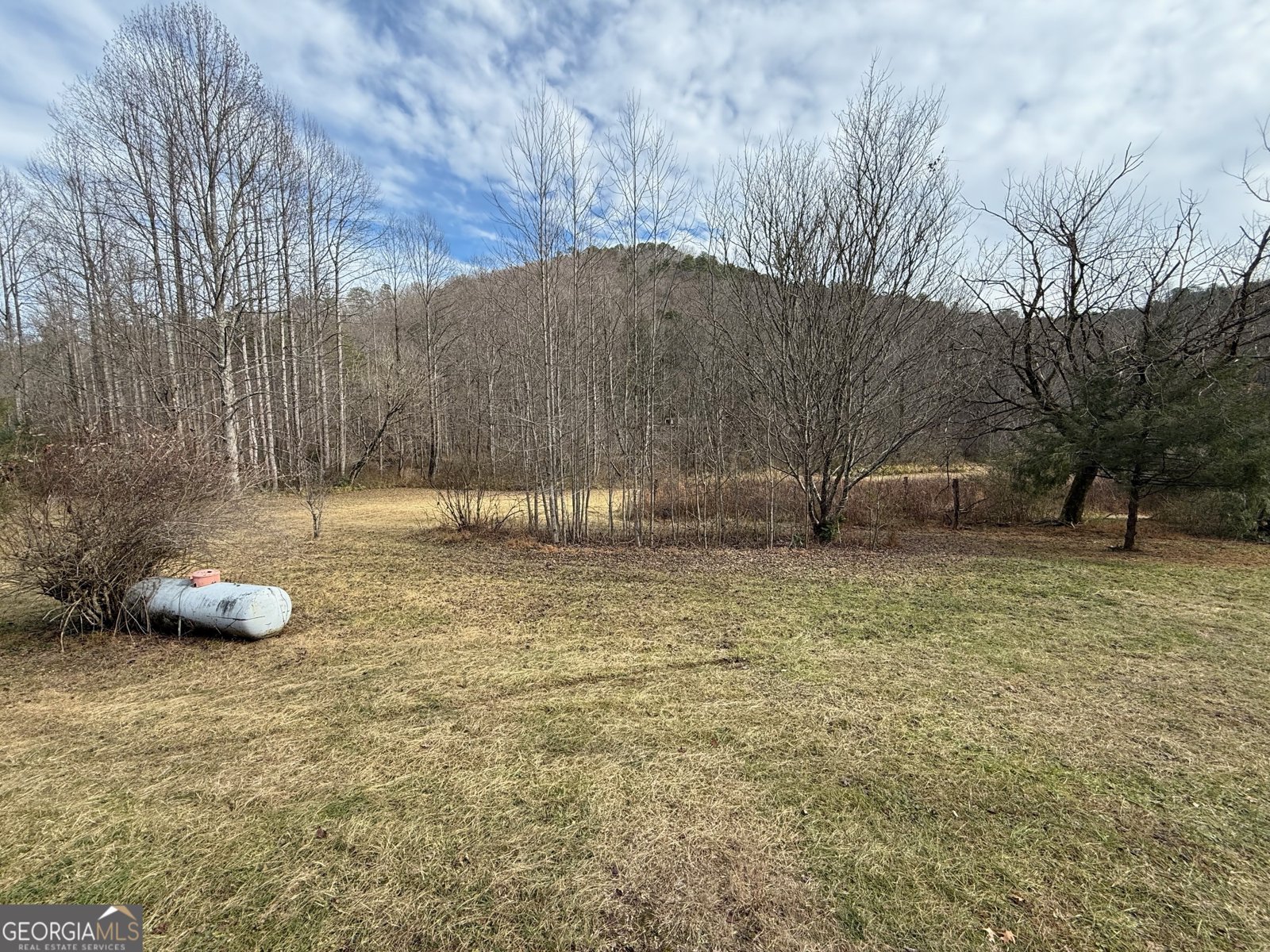 3590 Goshen Creek Road Claarkesville - 63