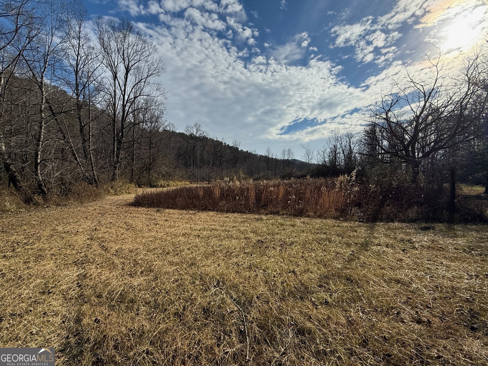 3590 Goshen Creek Road Claarkesville - 75