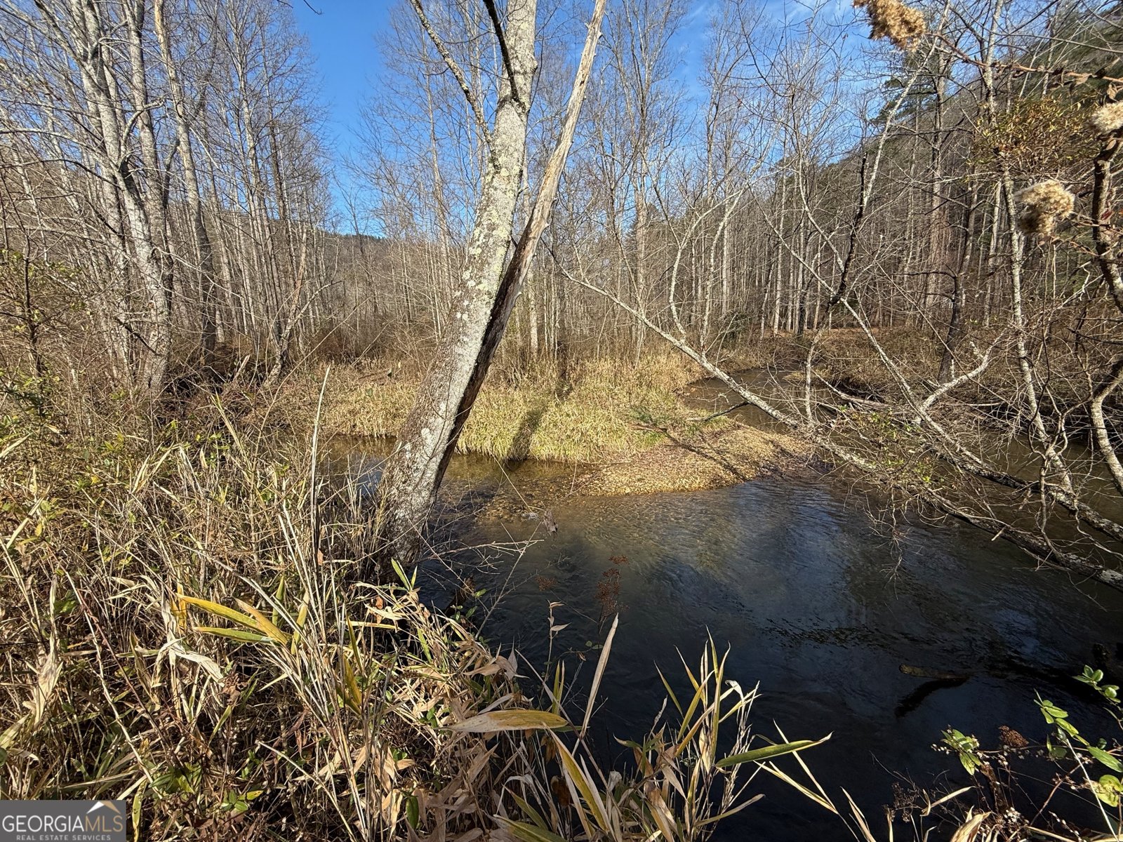 3590 Goshen Creek Road Claarkesville - 77