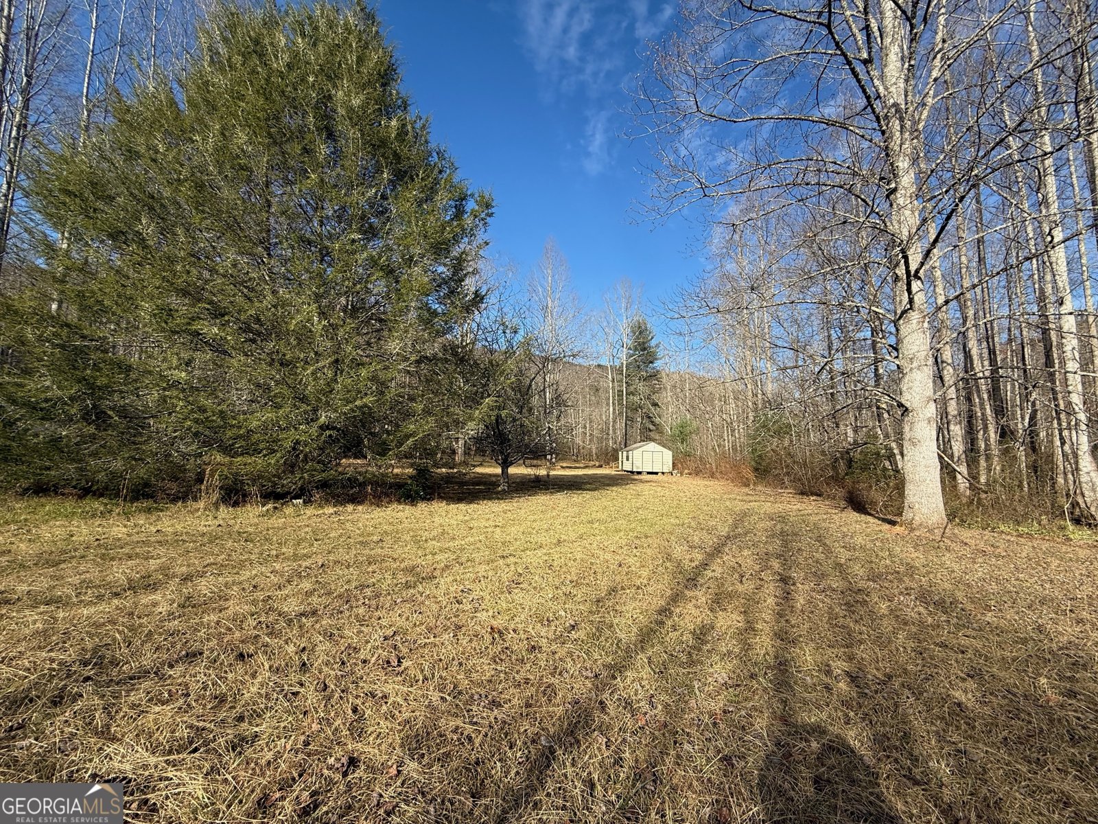 3590 Goshen Creek Road Claarkesville - 78