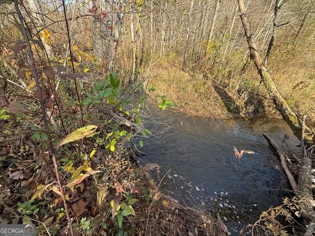 3590 Goshen Creek Road Claarkesville - 81