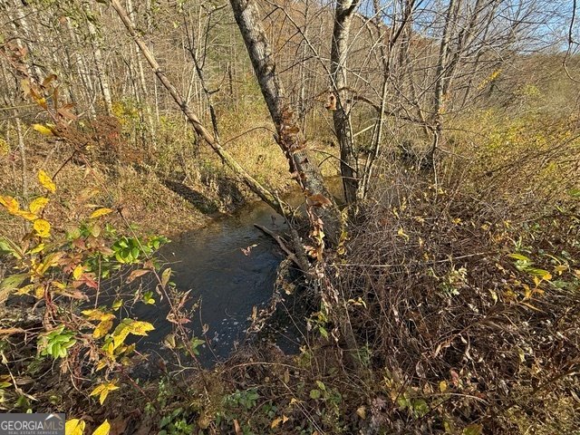 3590 Goshen Creek Road Claarkesville - 82