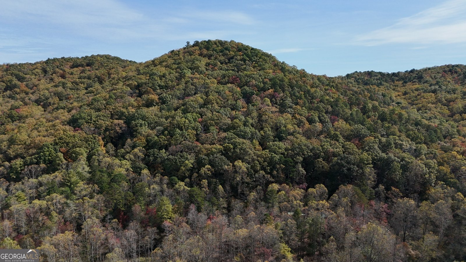 3590 Goshen Creek Road Claarkesville - 9