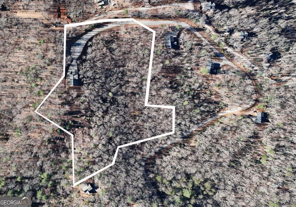 731 Native Trail Blue Ridge - 4