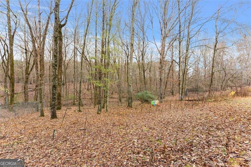 2980 Phillips Bend Buford - 36