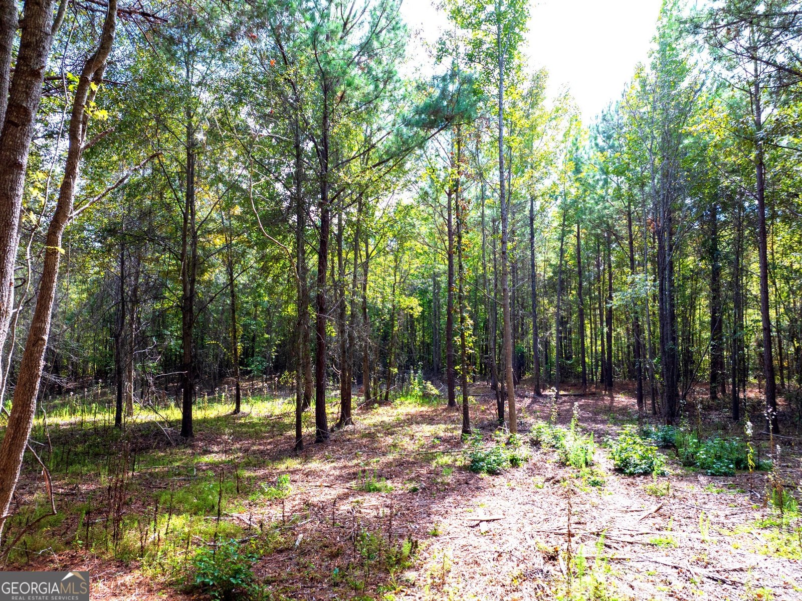 661 Hugh O Neal Road Greenville - 11