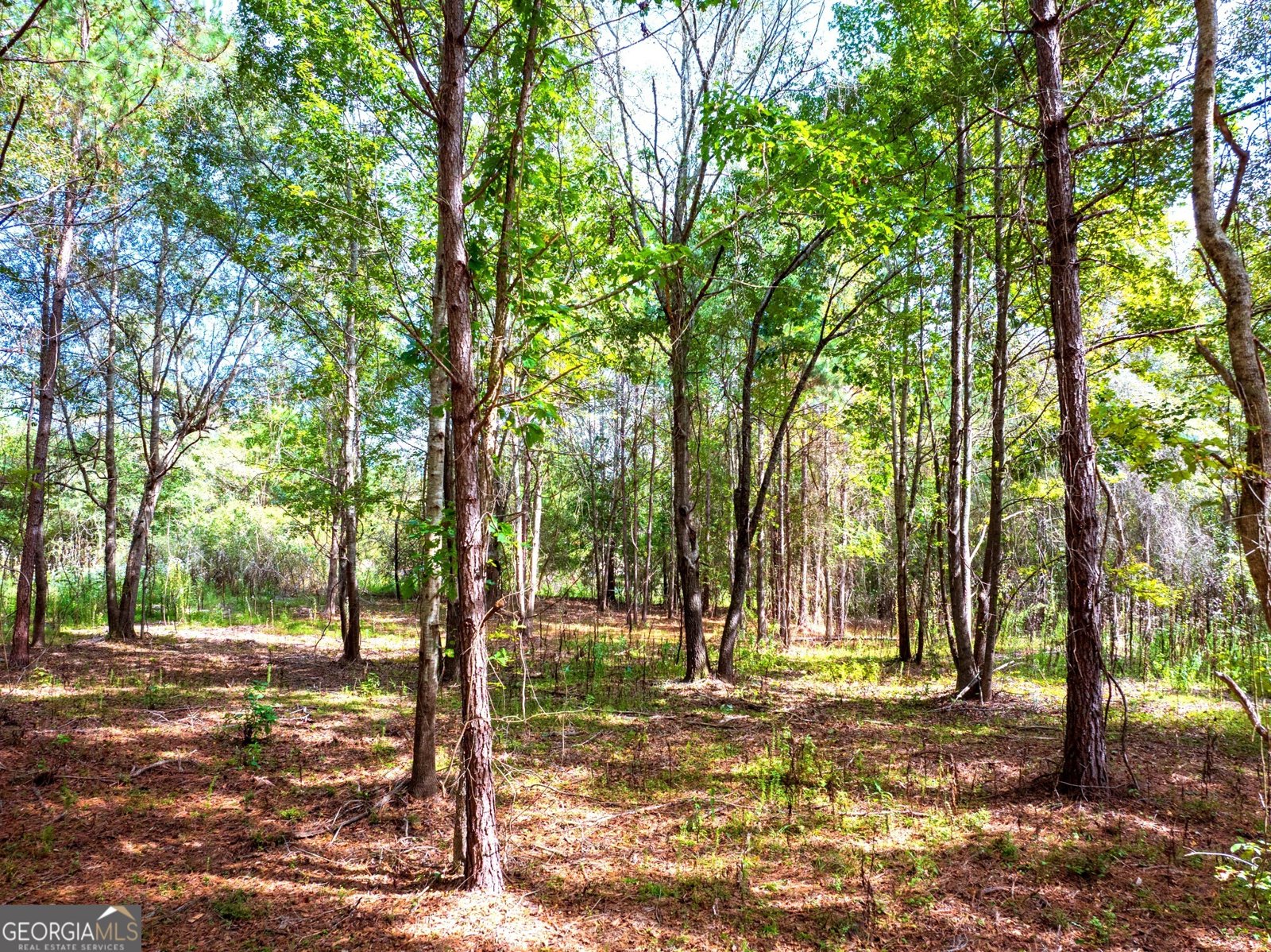 661 Hugh O Neal Road Greenville - 12