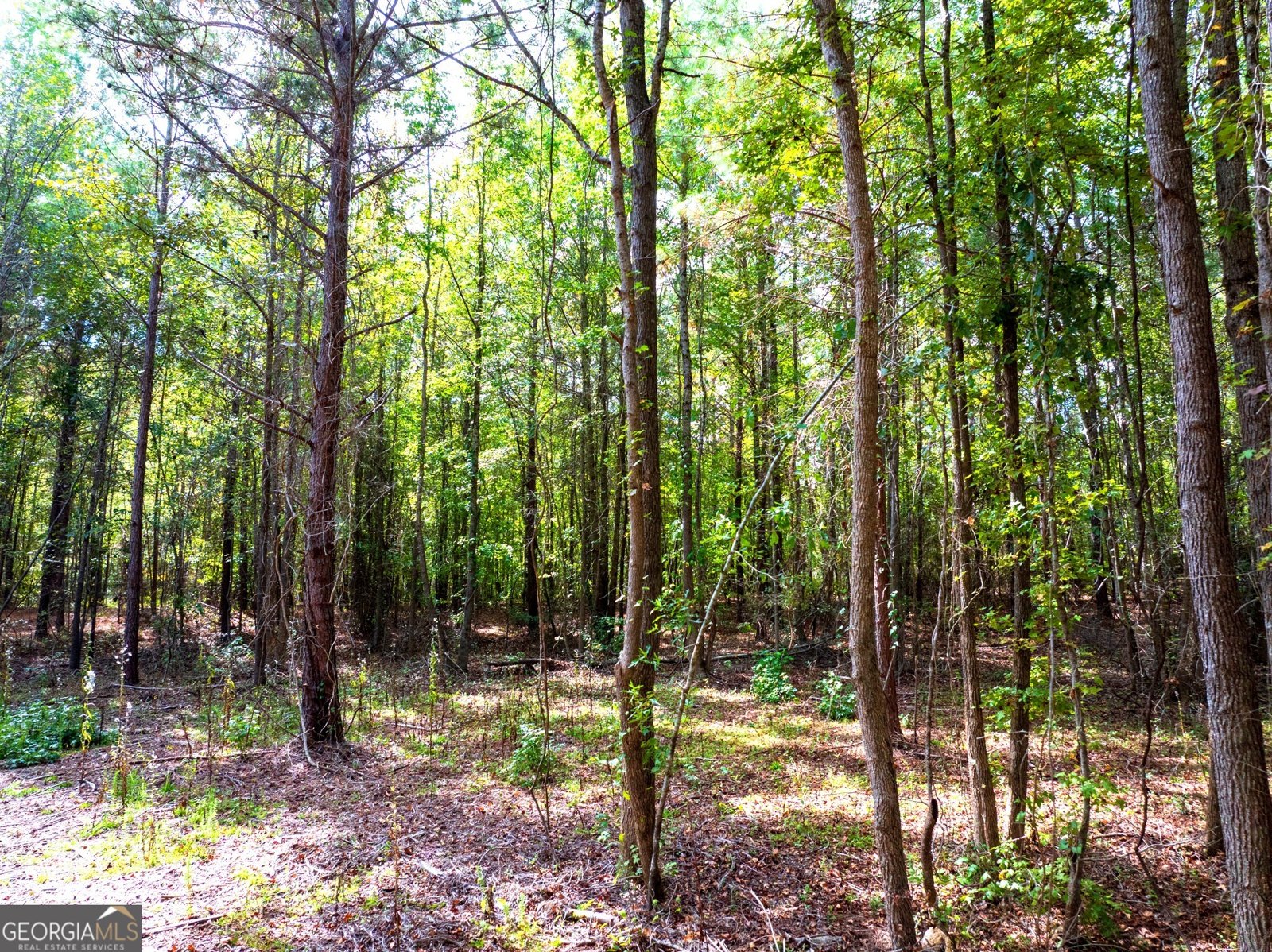 661 Hugh O Neal Road Greenville - 13