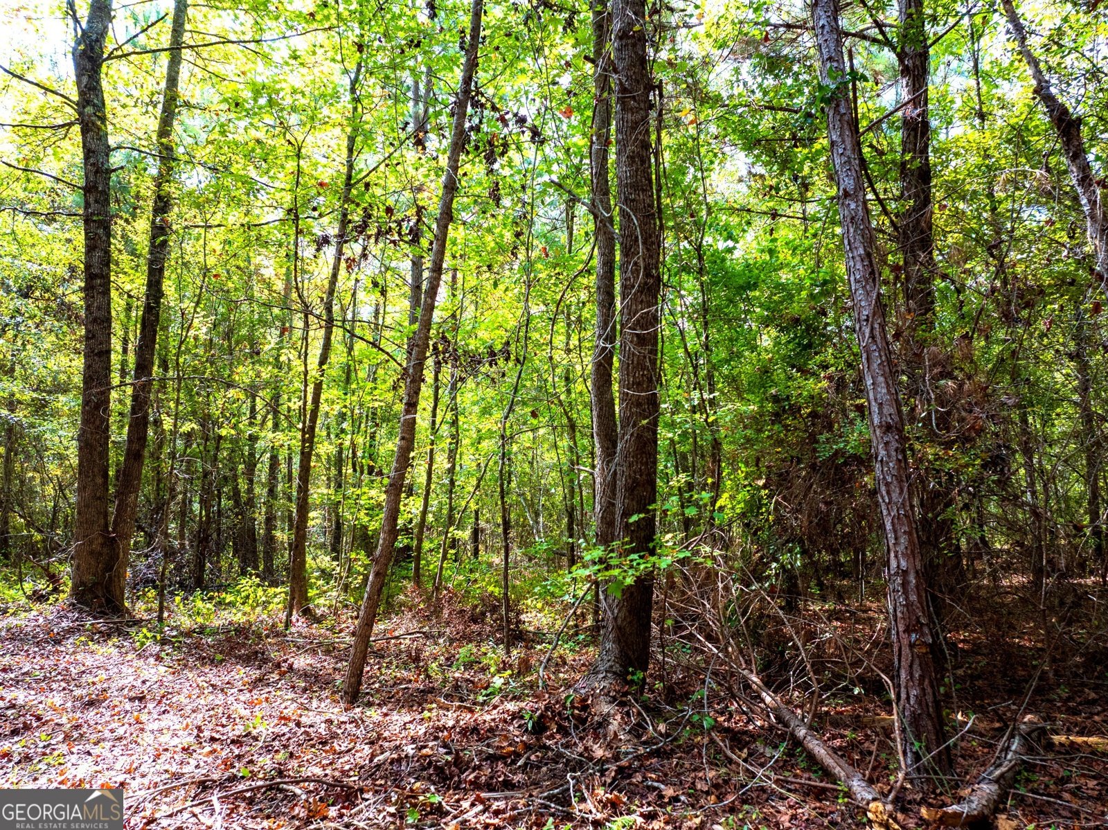 661 Hugh O Neal Road Greenville - 14