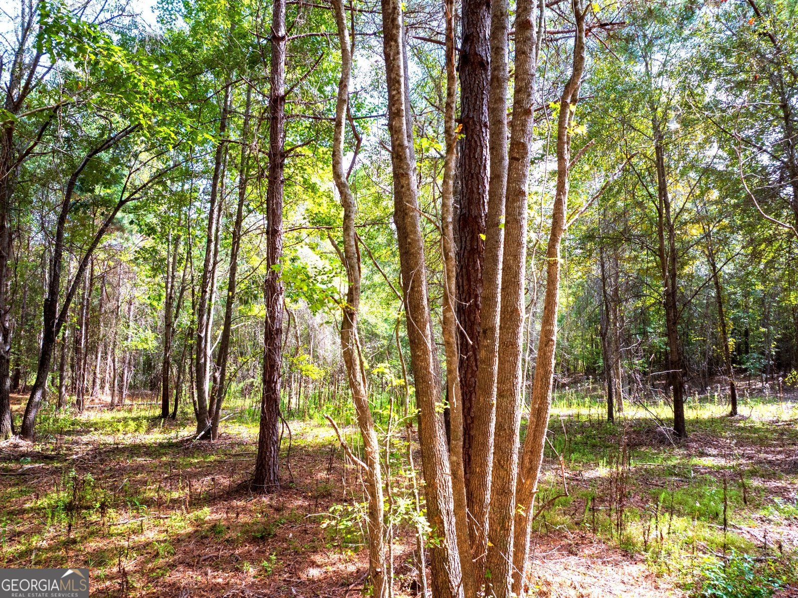 661 Hugh O Neal Road Greenville - 15