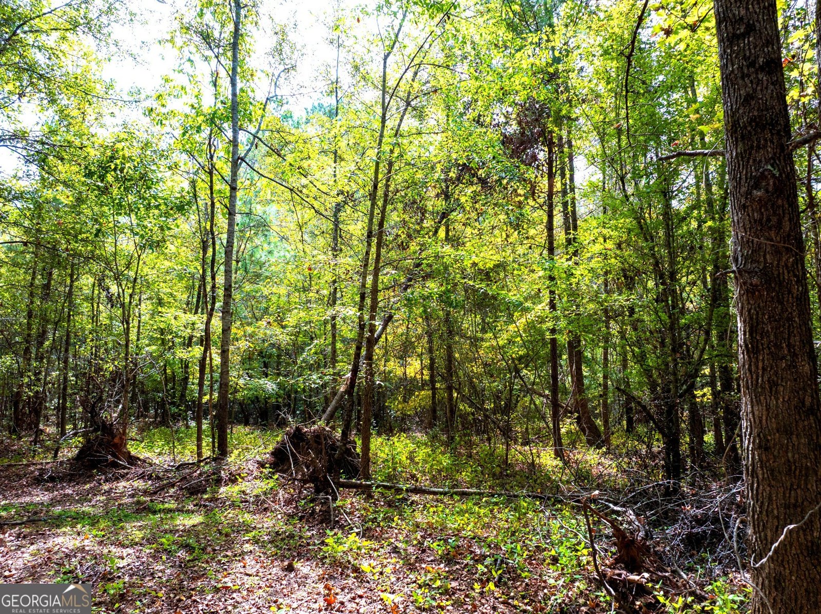 661 Hugh O Neal Road Greenville - 16