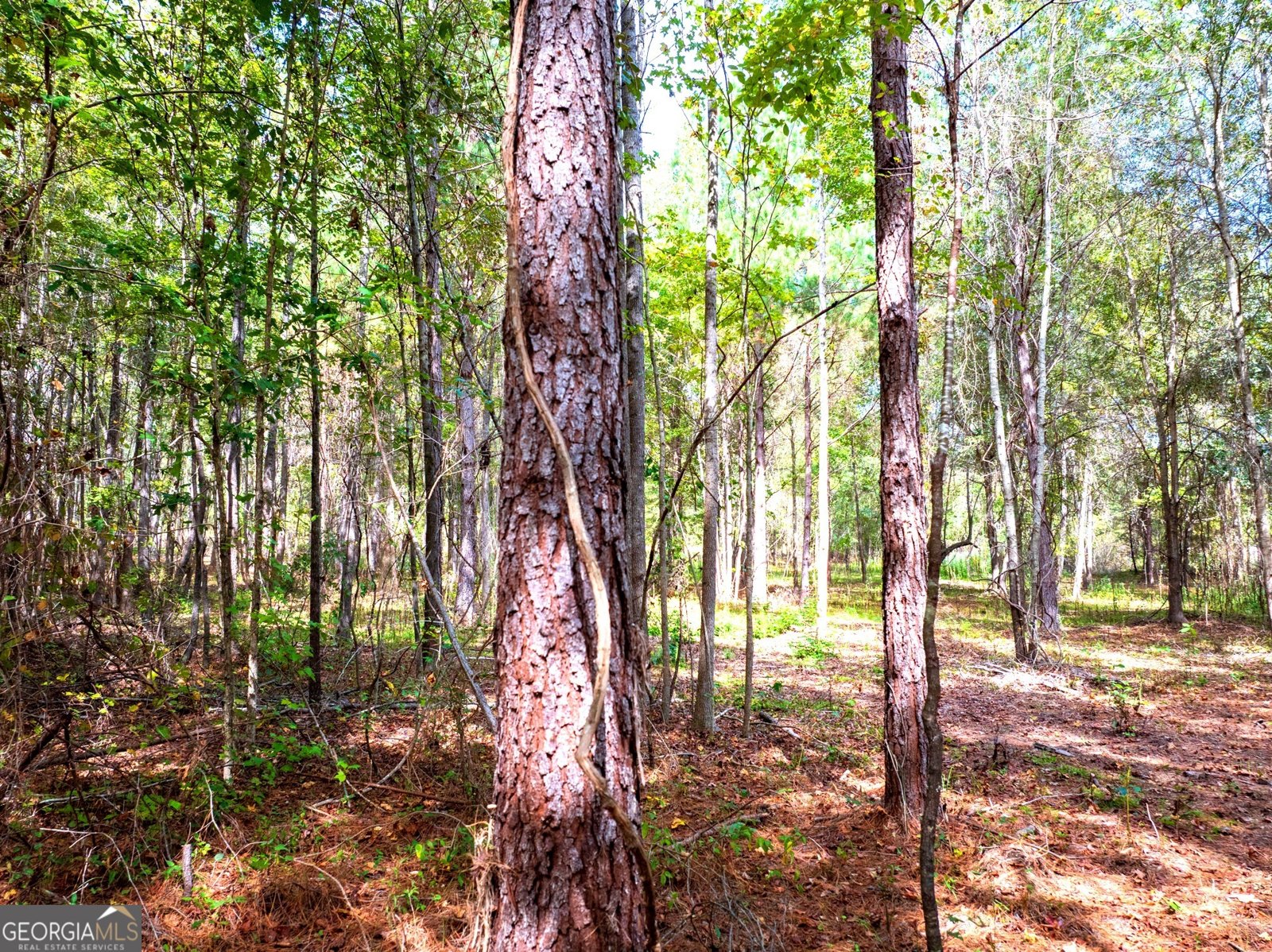 661 Hugh O Neal Road Greenville - 17