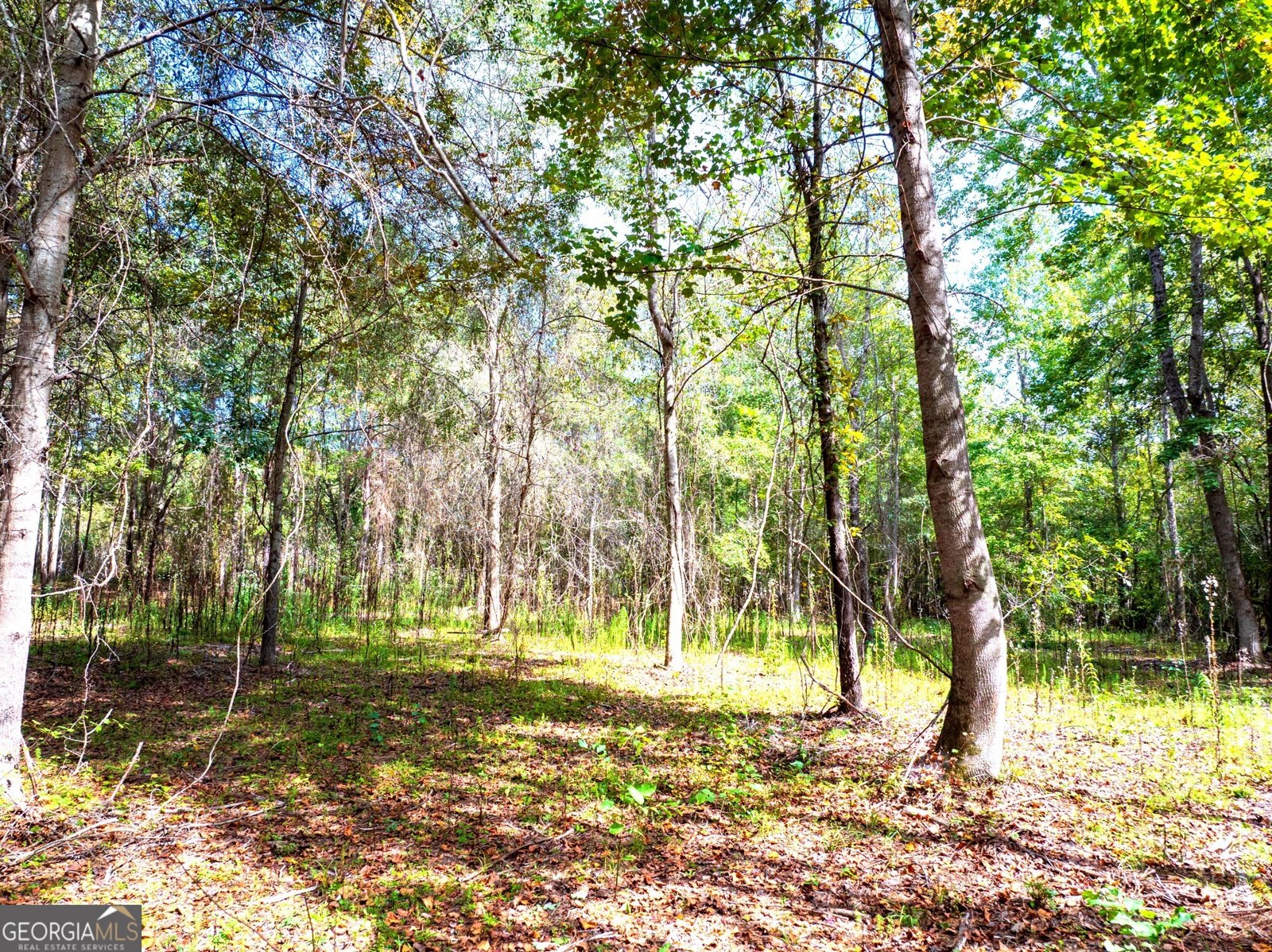 661 Hugh O Neal Road Greenville - 18