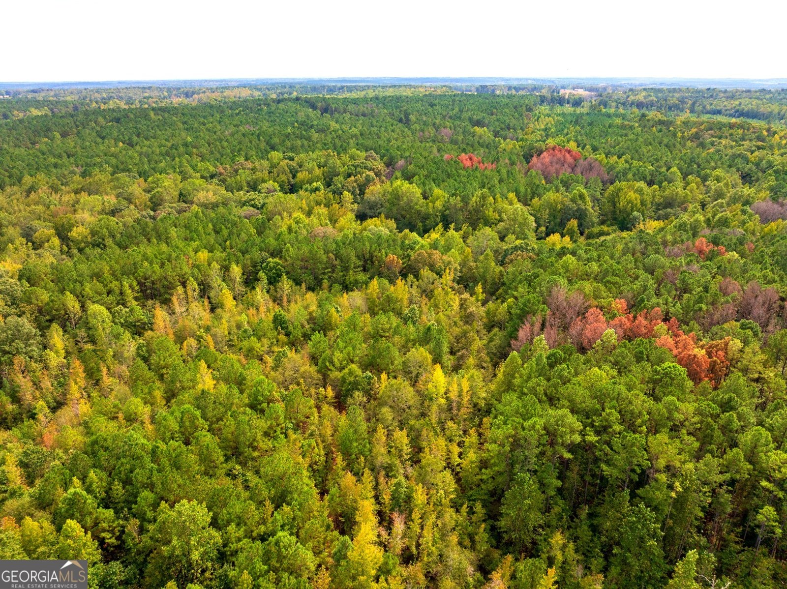 661 Hugh O Neal Road Greenville - 26