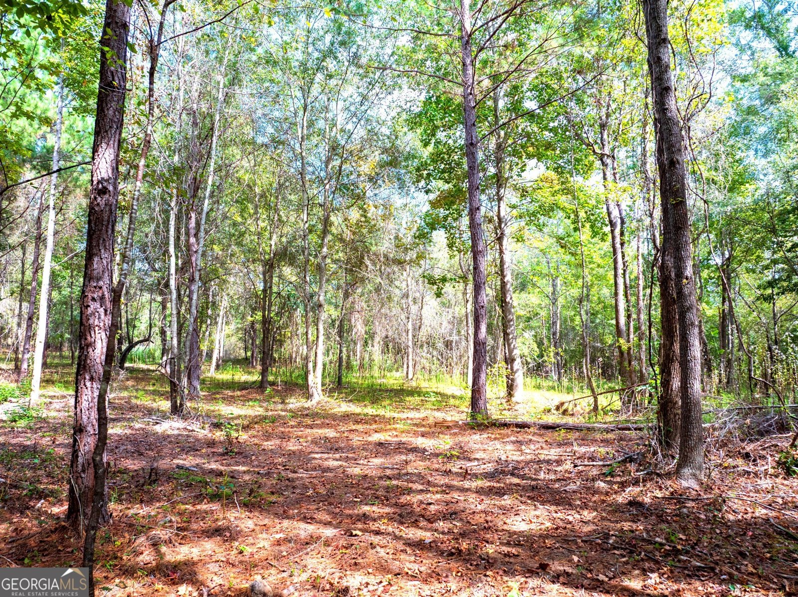 661 Hugh O Neal Road Greenville - 9