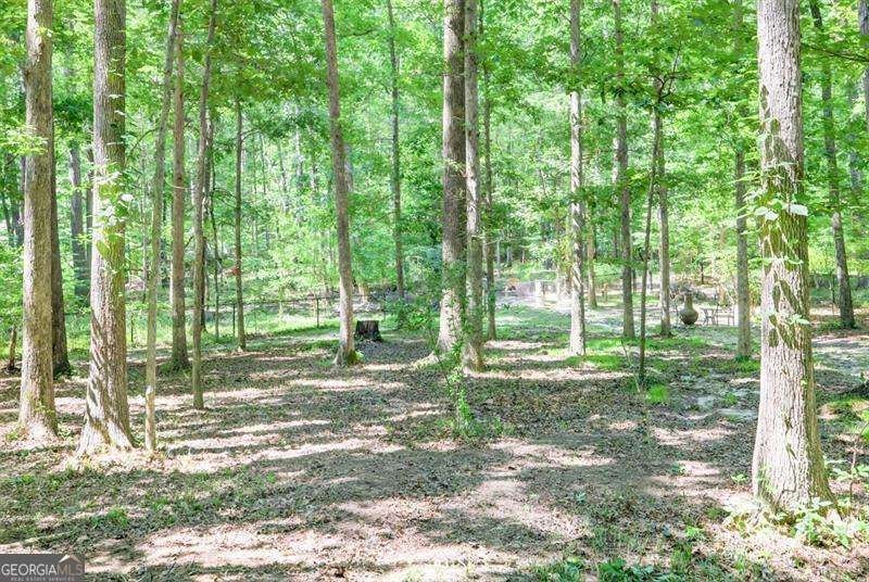 686 Hillwood Court Dacula - 54