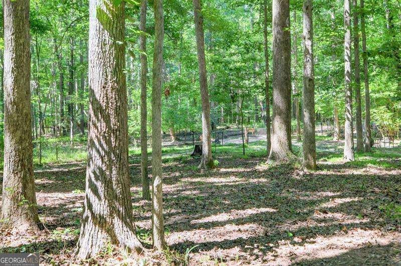 686 Hillwood Court Dacula - 56