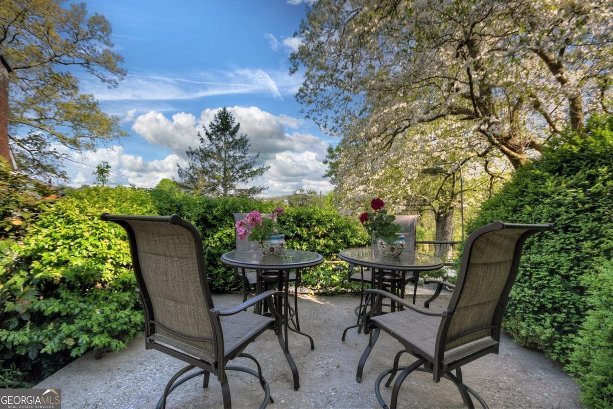 456 Lavista Drive Blue Ridge - 20