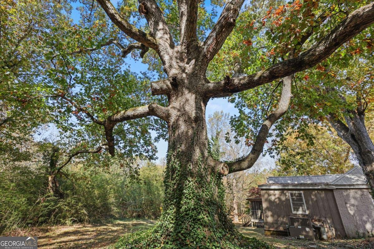 0 Carson Graves Road Watkinsville - 14