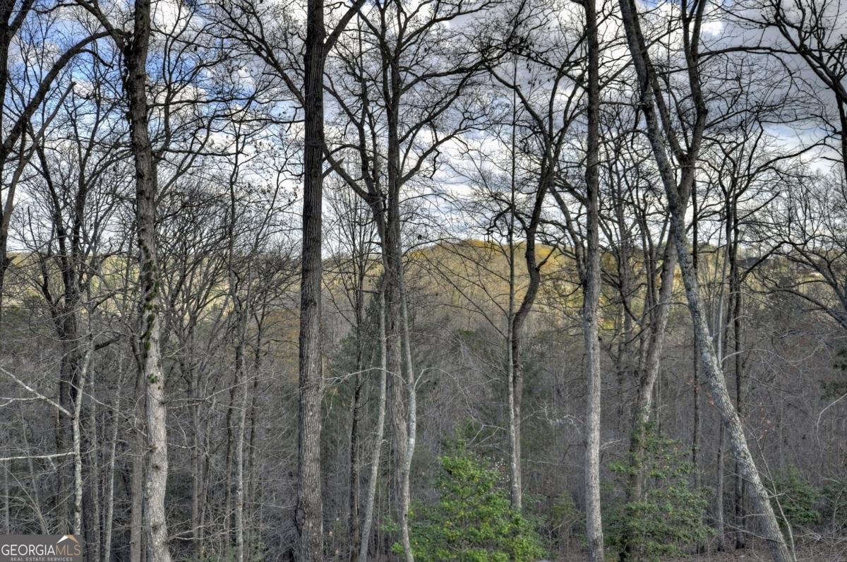 250 Wolf Creek Mountain Road Mineral Bluff - 20