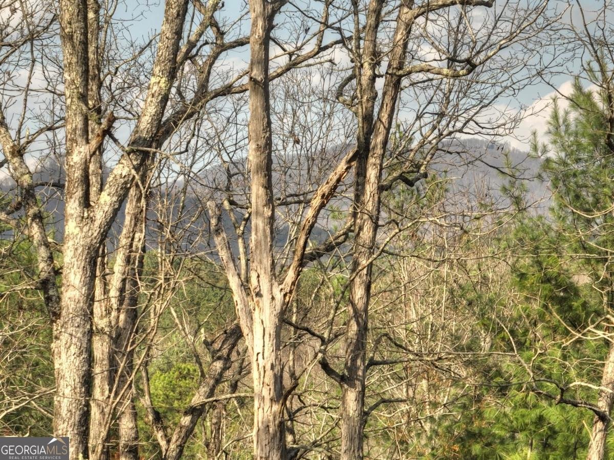 250 Wolf Creek Mountain Road Mineral Bluff - 27