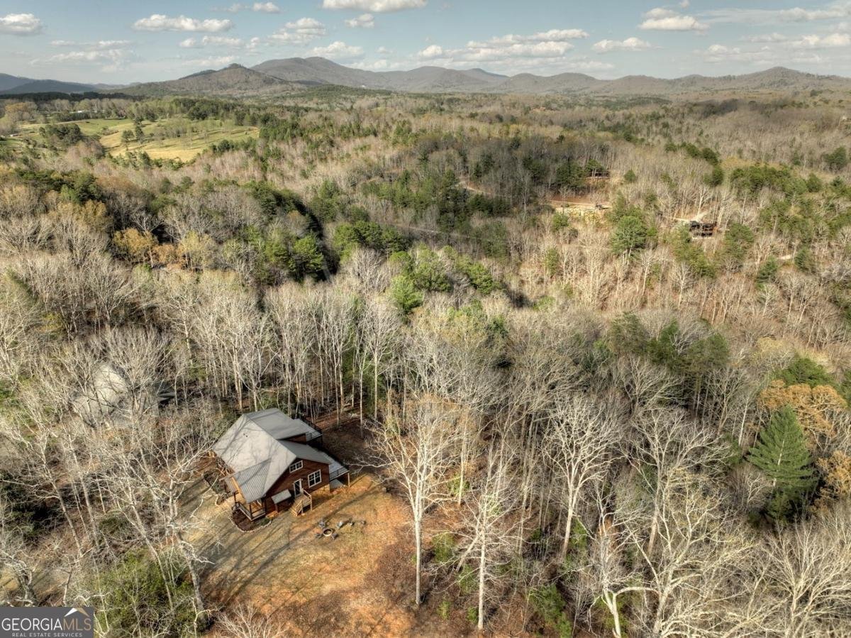 250 Wolf Creek Mountain Road Mineral Bluff - 49