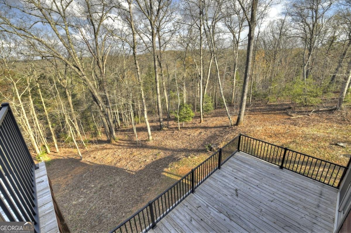 250 Wolf Creek Mountain Road Mineral Bluff - 61