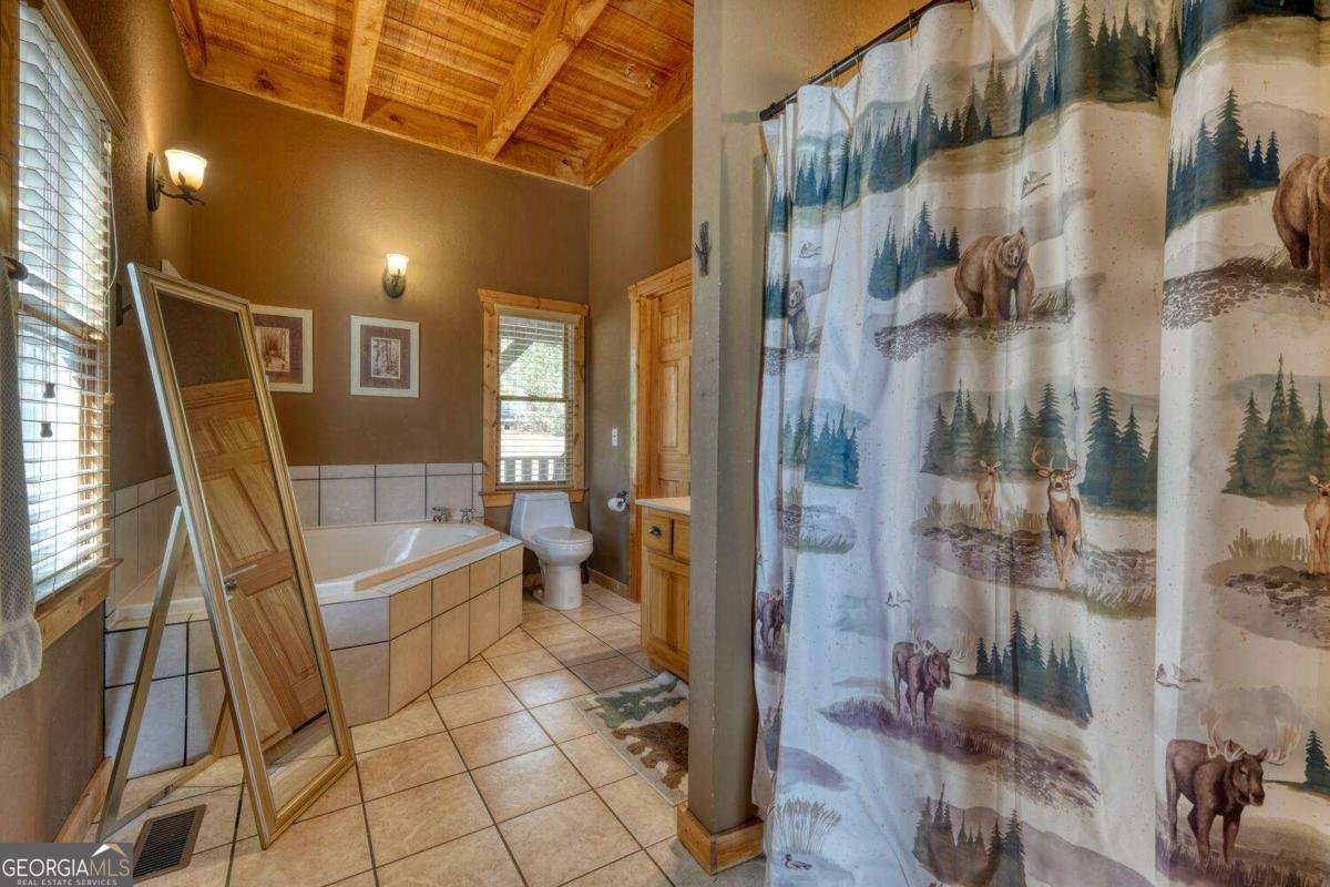 2567 Todd Shook Road Young Harris - 19