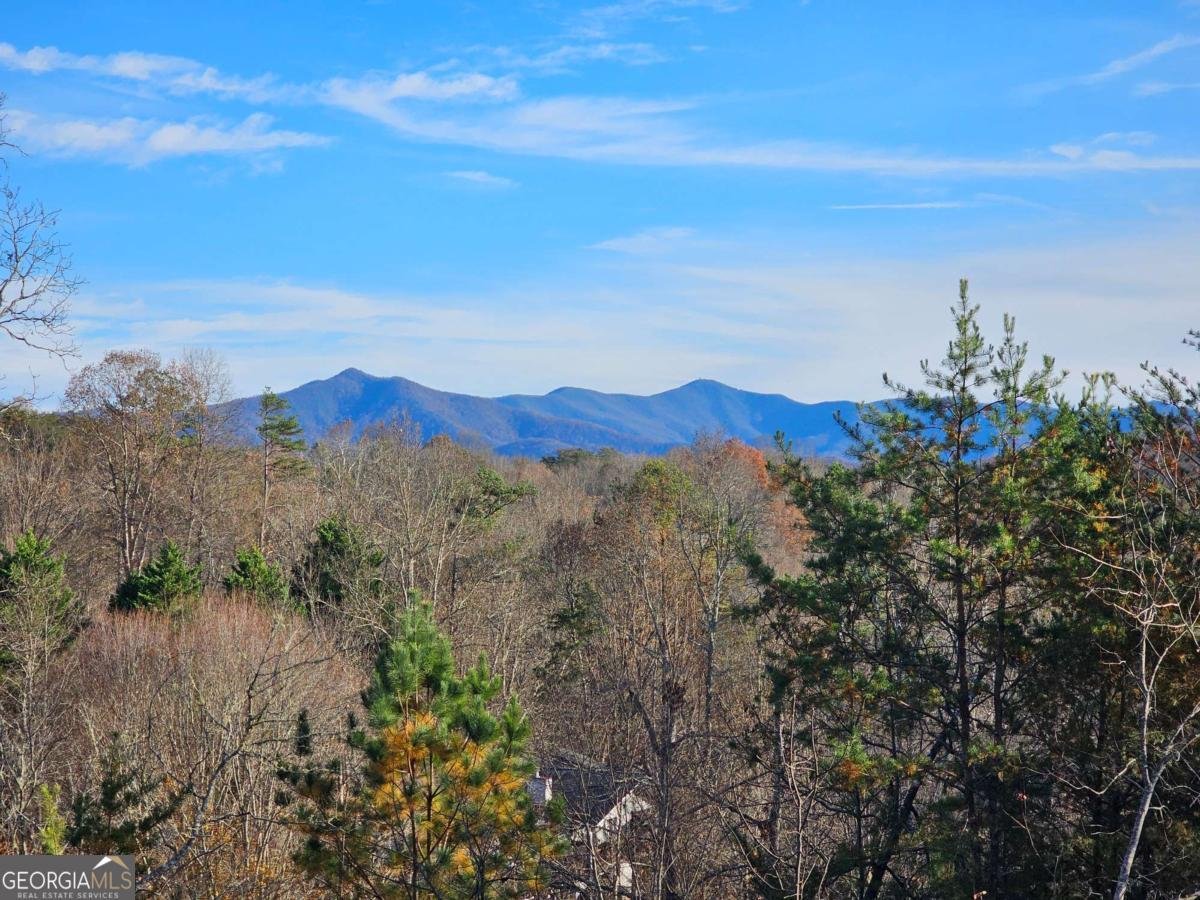 2567 Todd Shook Road Young Harris - 25