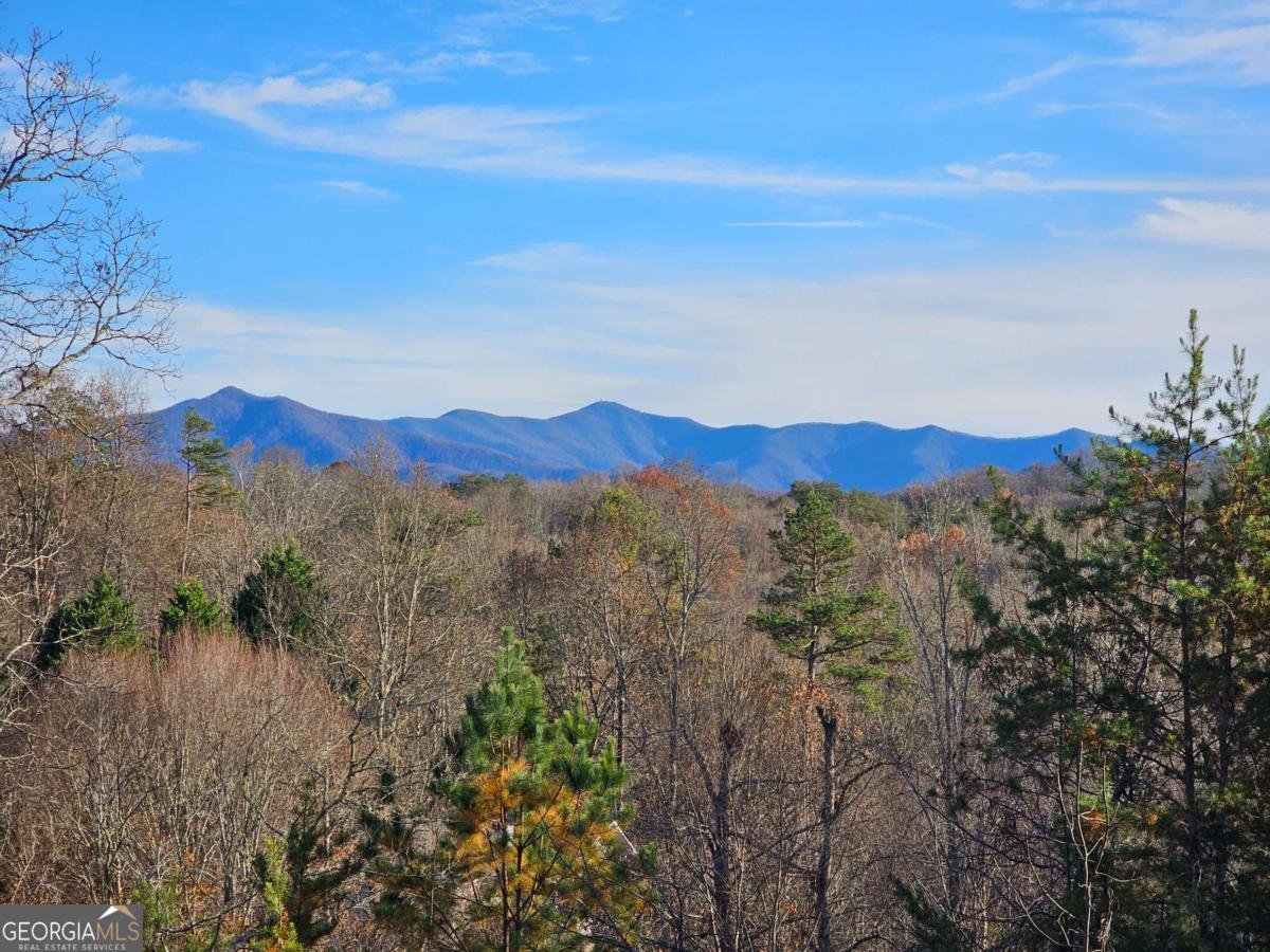 2567 Todd Shook Road Young Harris - 27