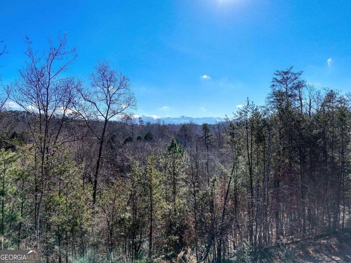 2567 Todd Shook Road Young Harris - 29