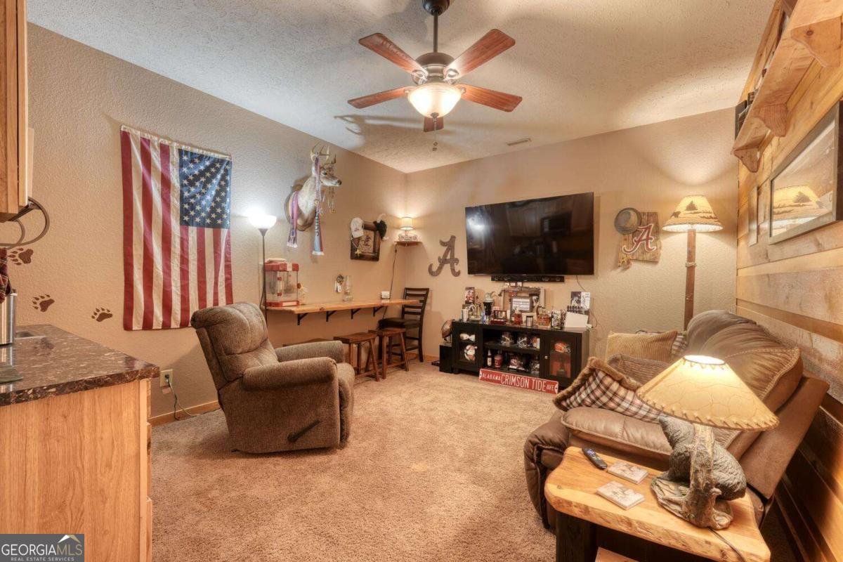 2567 Todd Shook Road Young Harris - 43