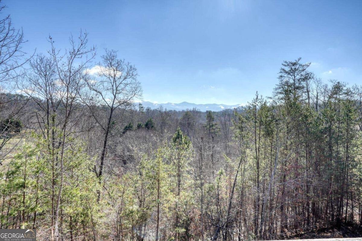 2567 Todd Shook Road Young Harris - 46