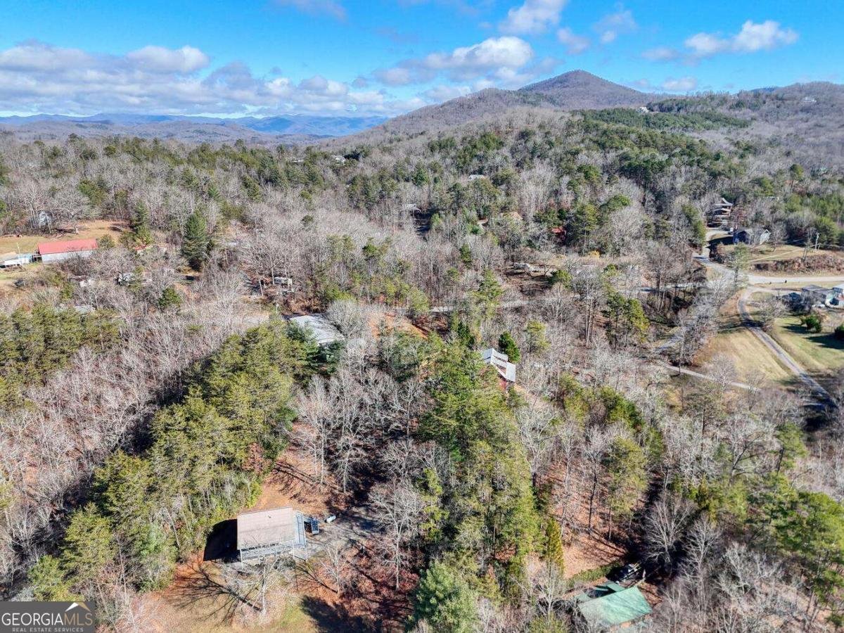 2567 Todd Shook Road Young Harris - 56