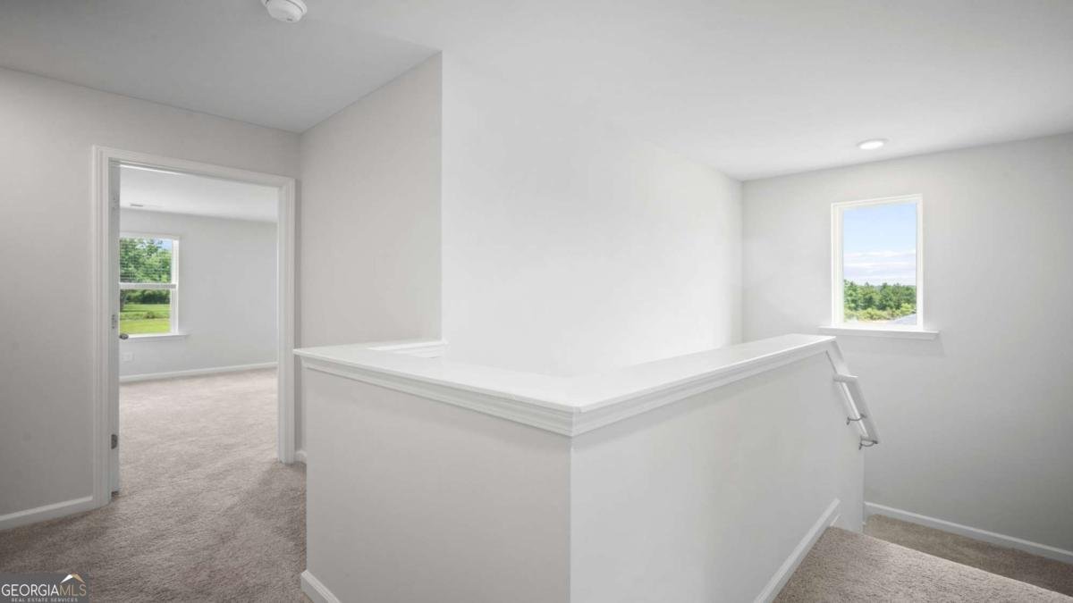 315 Royal Fern Lane Statesboro - Photo 23