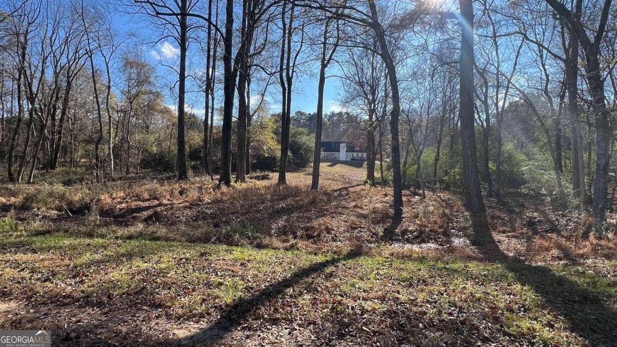 719 Overlook Drive Winder - 45