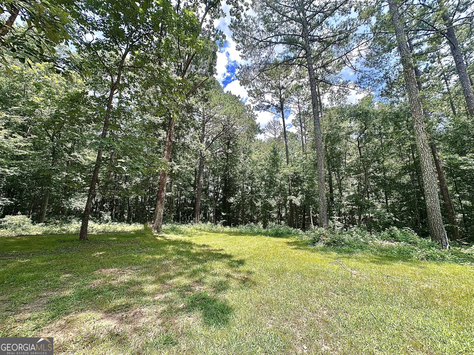 115 Creekside Lane Covington - 15