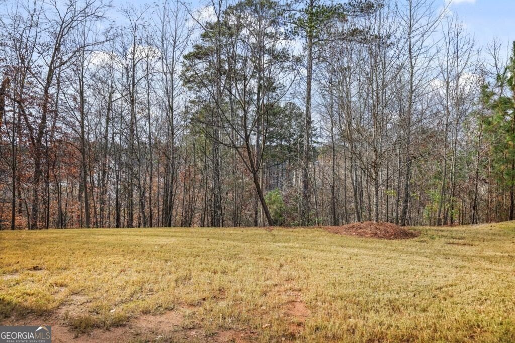 274 Lakestone Parkway Woodstock - 29