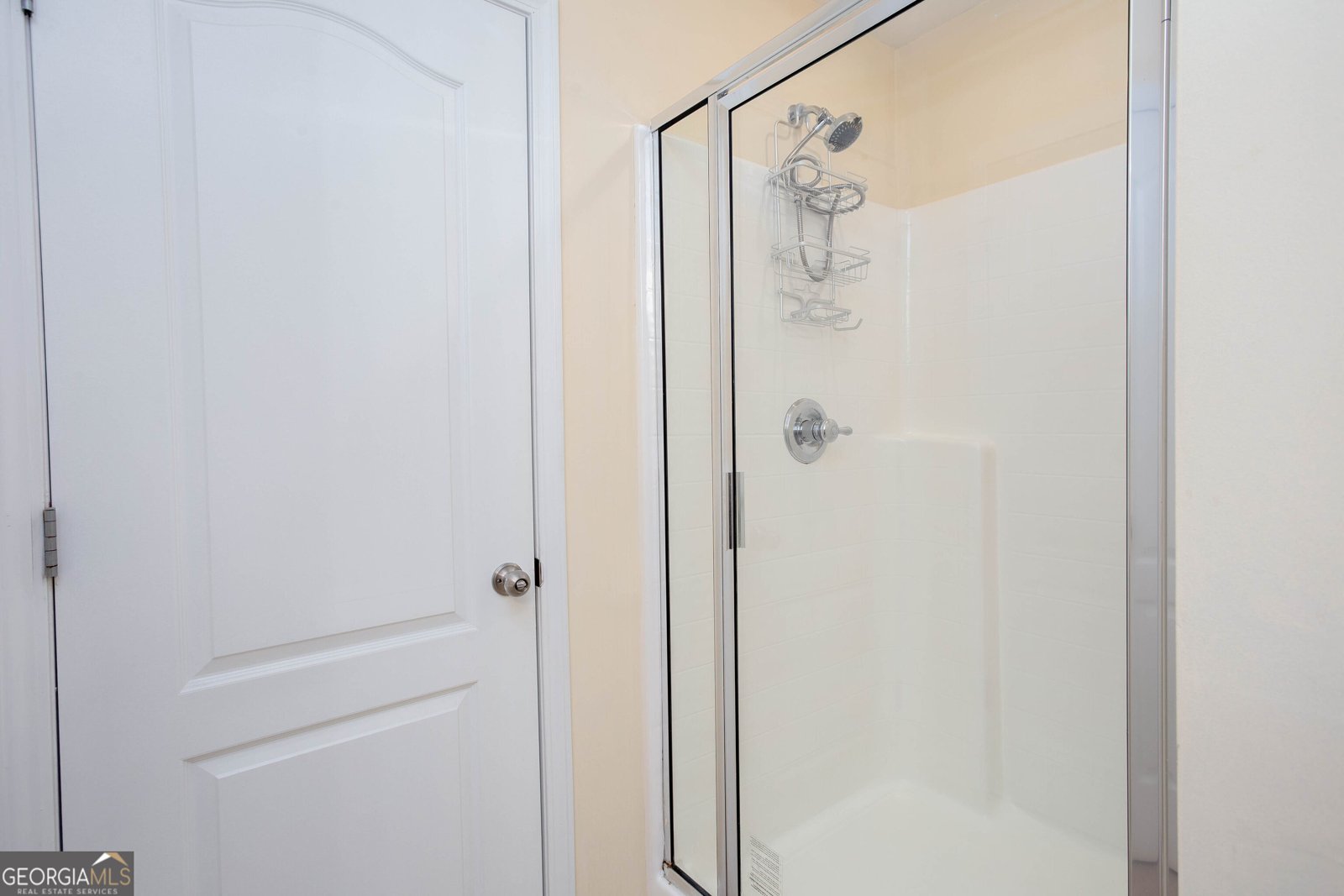 1545 Reel Lake Drive Atlanta - 27