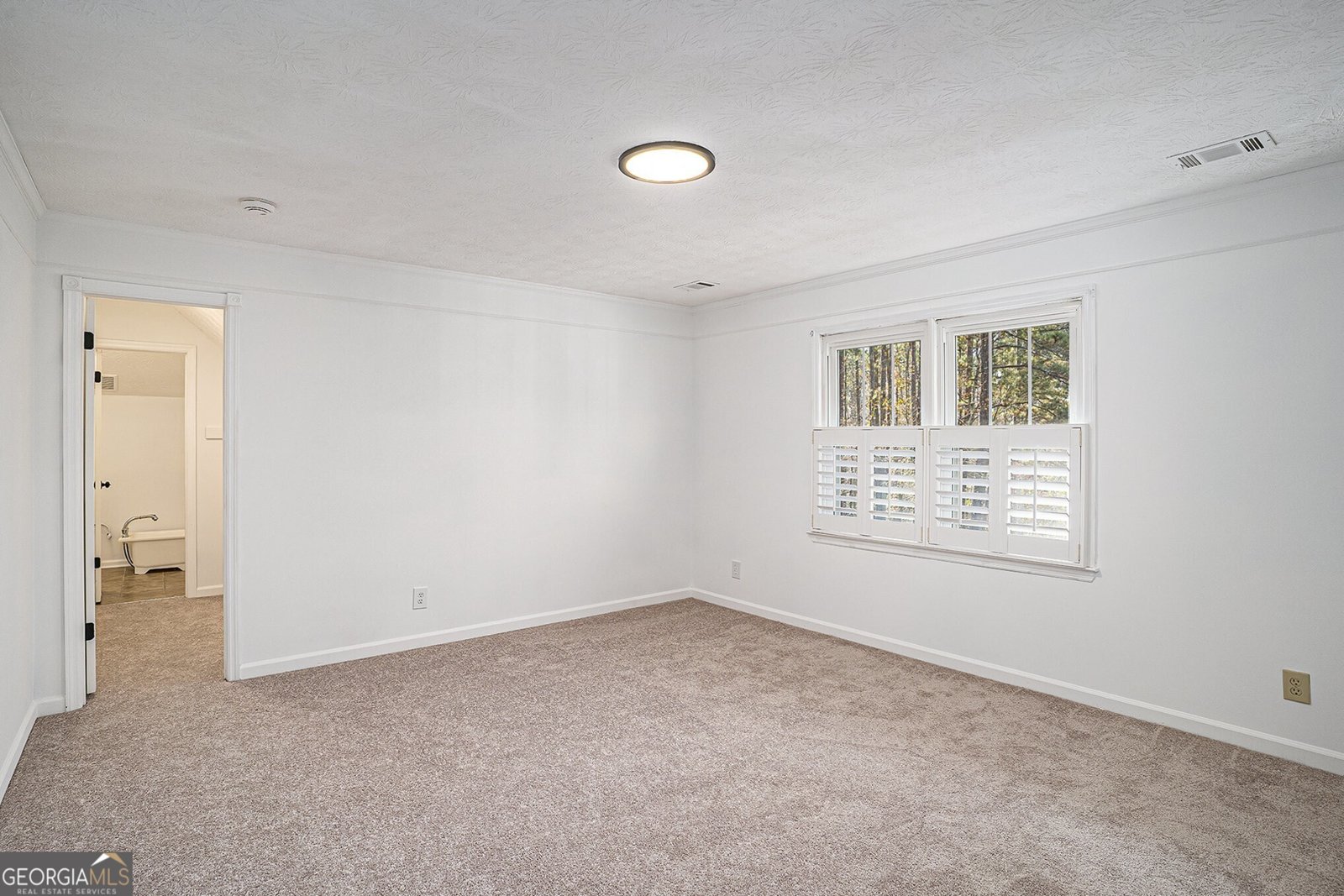 1501 Aiken Chafin Lane McDonough - 22