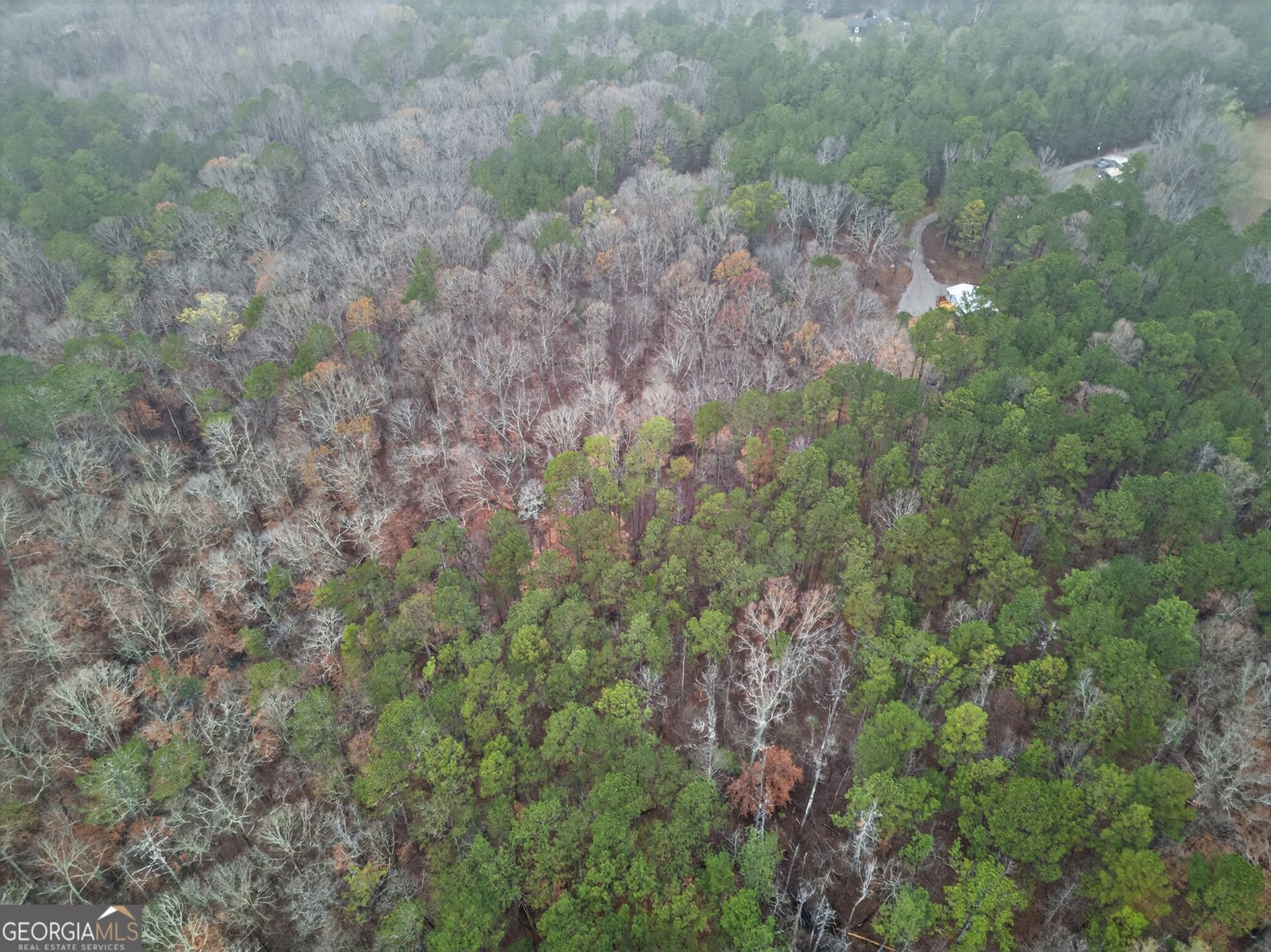 72 Frank Matthews Road Lexington - 33