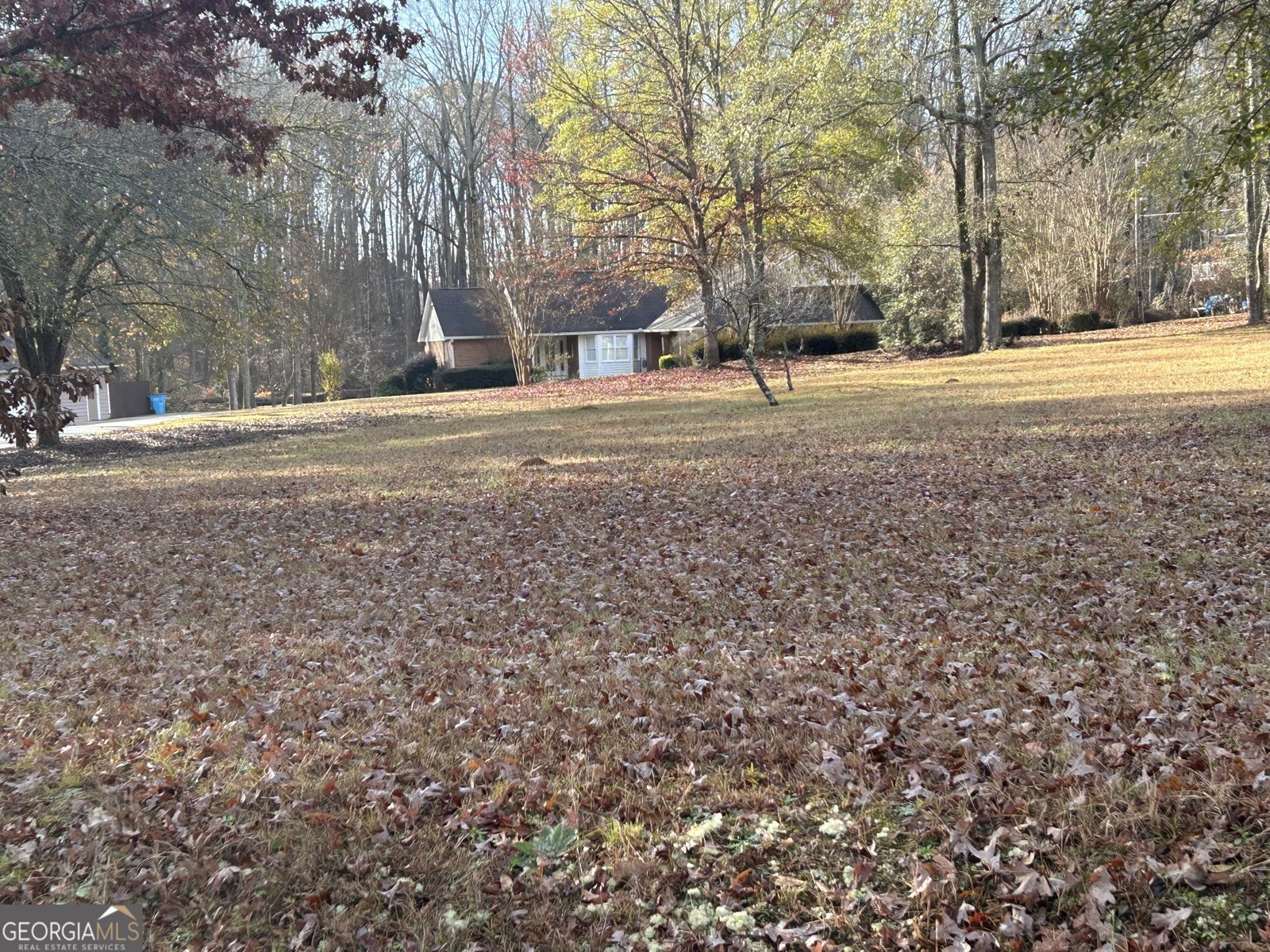 521 John Elliott Road McDonough - 3