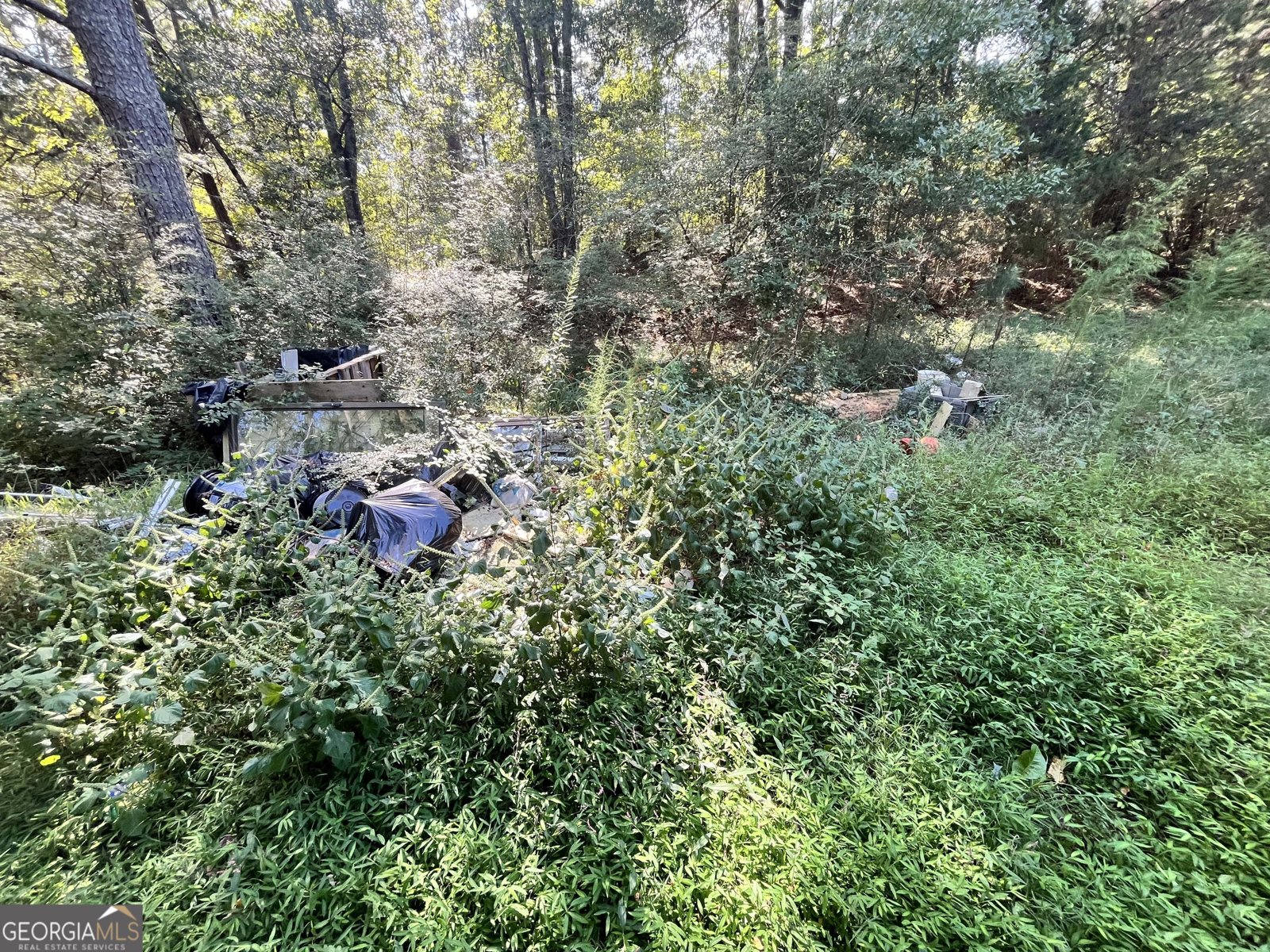 3807 Mote Road Covington - 7