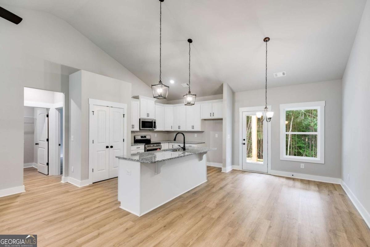 7824 Georgia Highway 100 Buchanan - 22