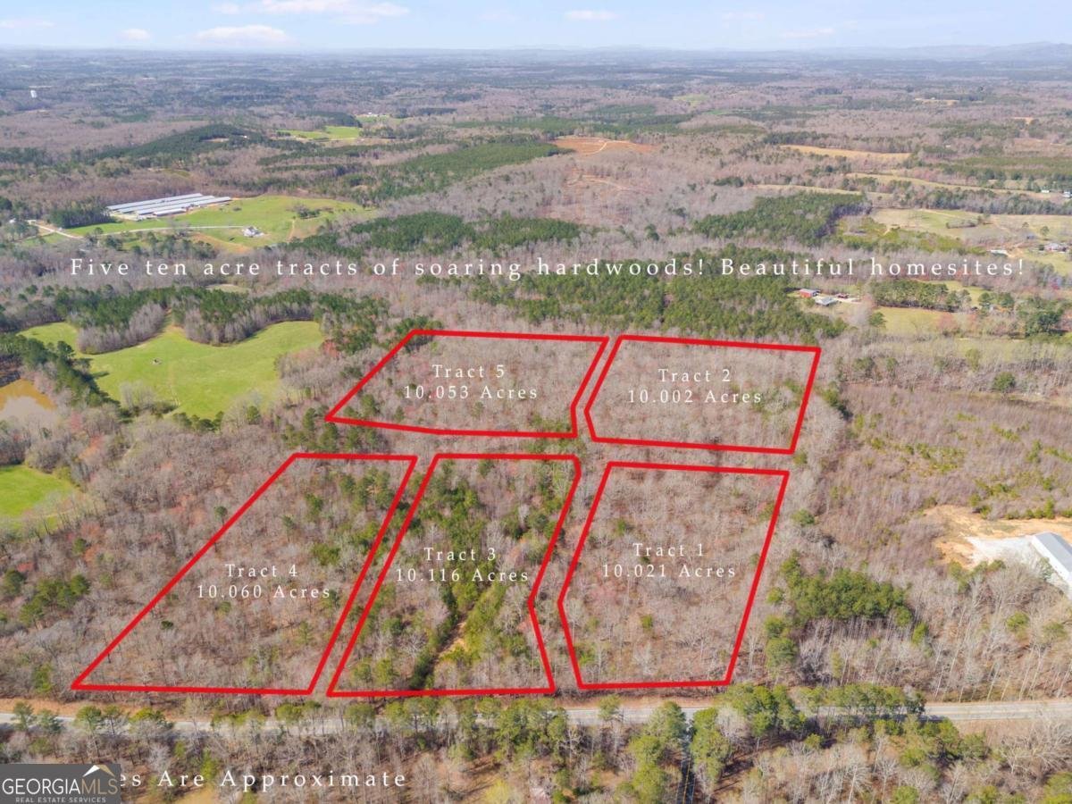 7724 Georgia Highway 100 Buchanan - 51