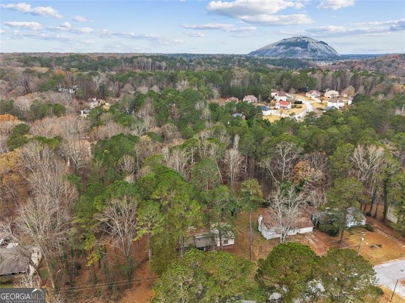 480 PINEBURR Lane Stone Mountain - 50