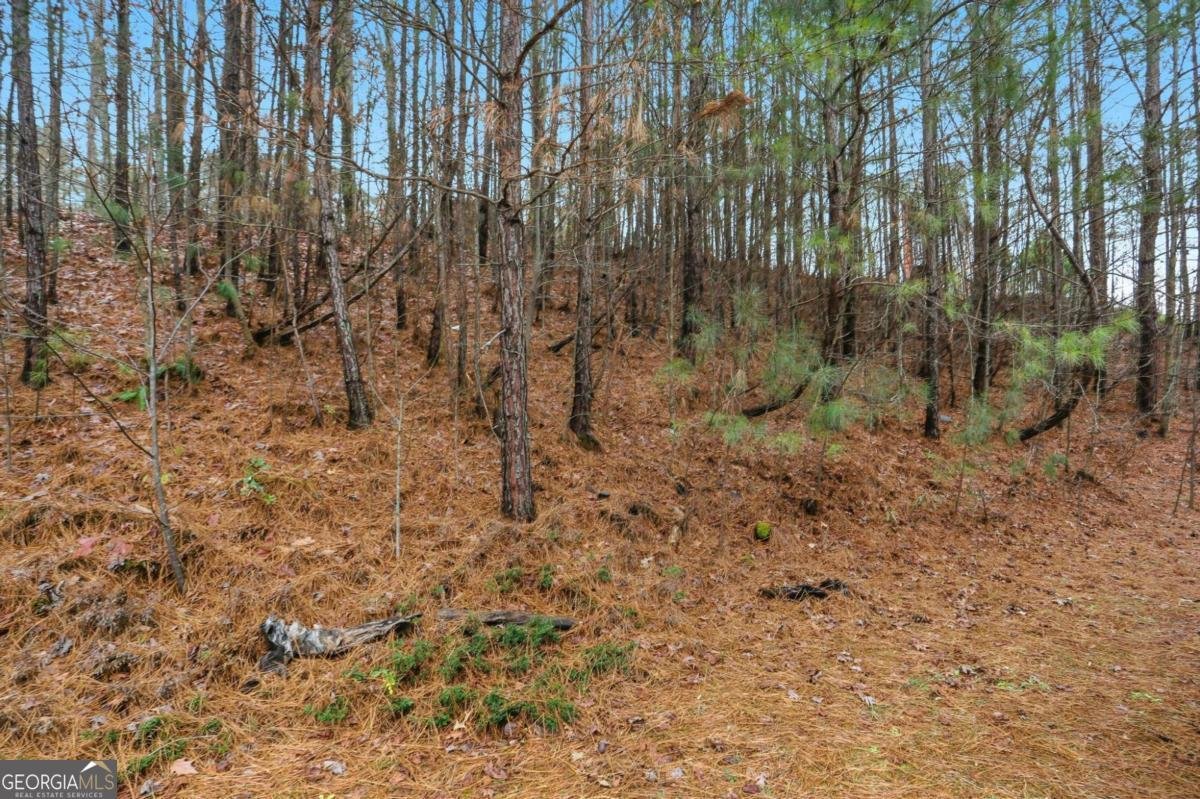 4640 Haley Farms Drive Cumming - 51