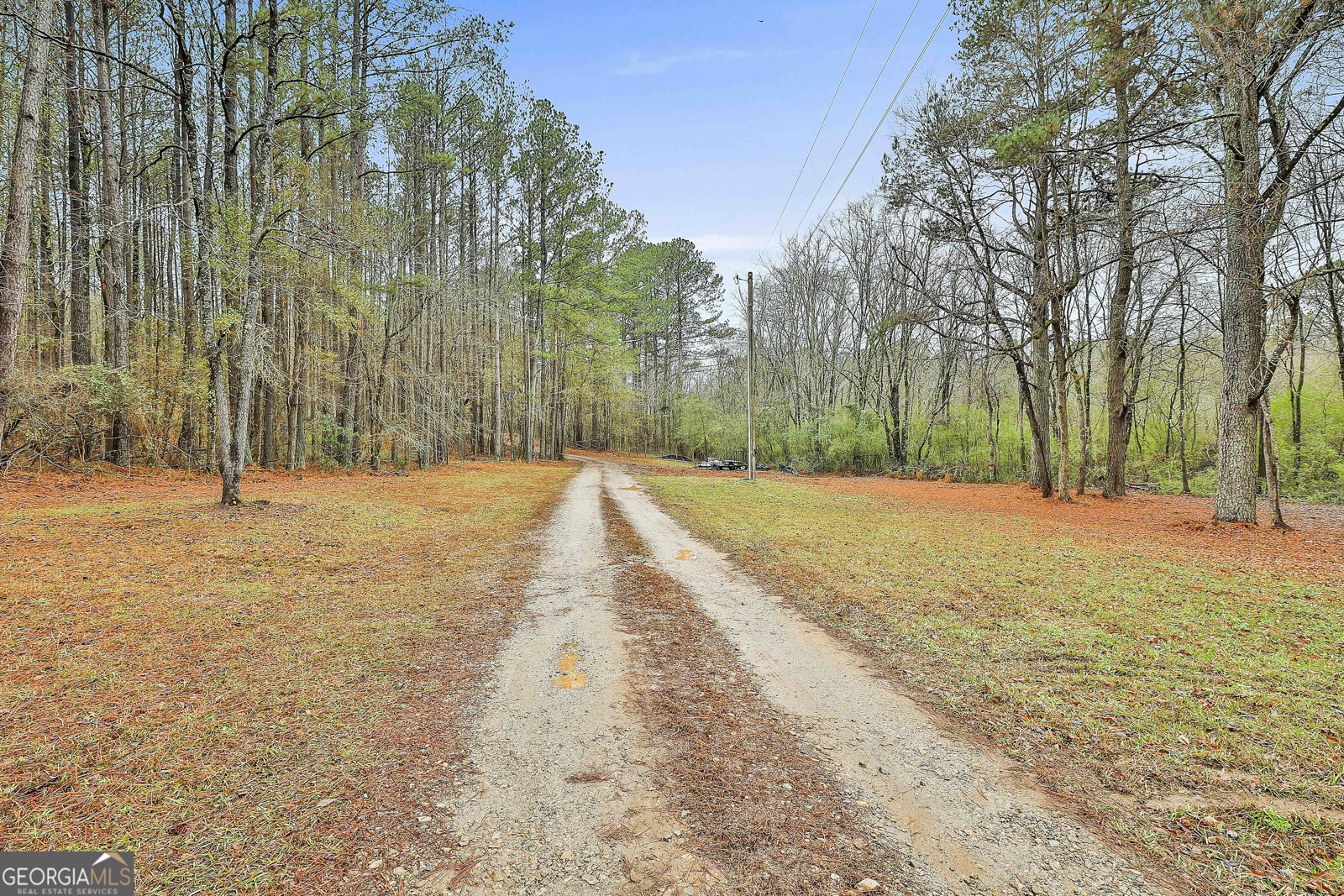 250 Mobley Bridge Road Hogansville - 3